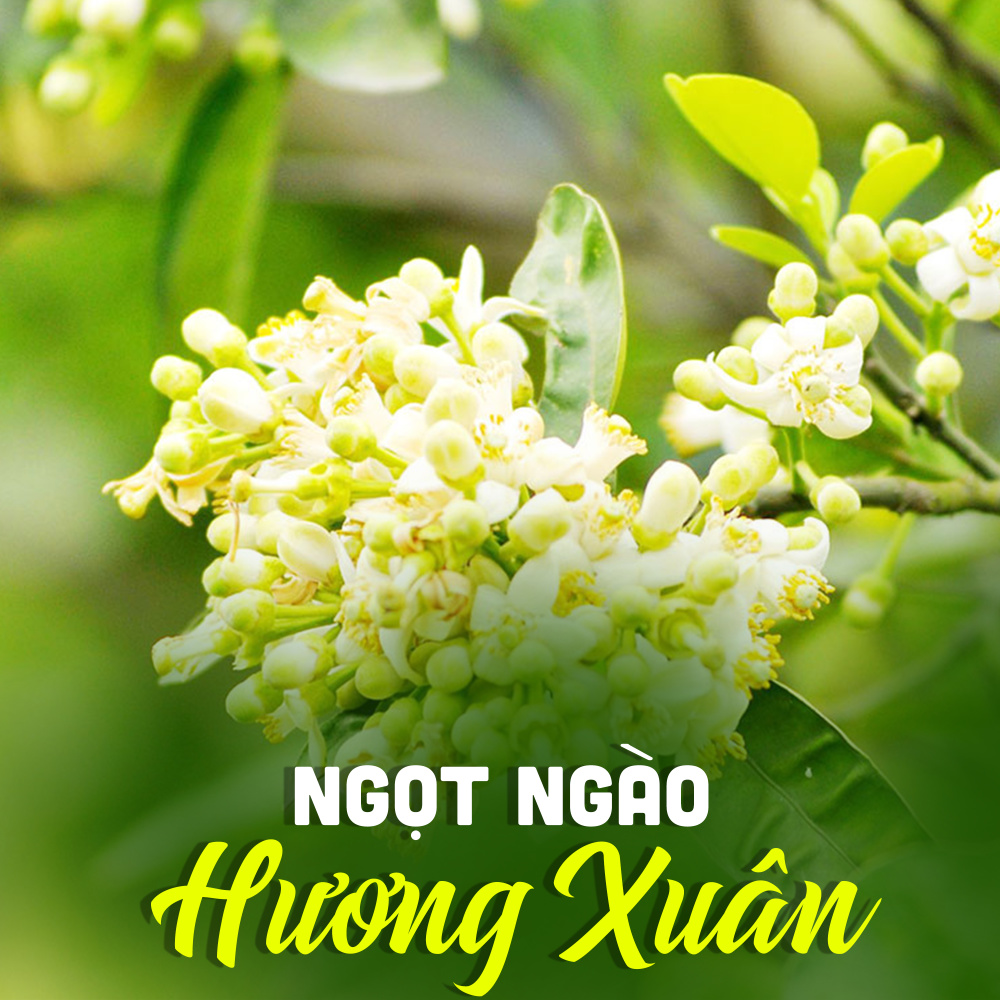 Thành Phố Mùa Xuân