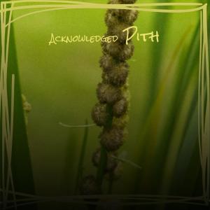 Album Acknowledged Pith from Various