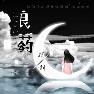 撫刺的專輯良藥