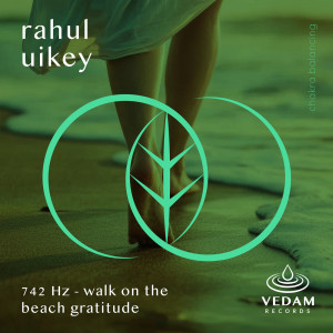 收聽Rahul Uikey的742 Hz - Walk on the Beach Gratitude歌詞歌曲
