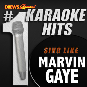 ดาวน์โหลดและฟังเพลง Got to Give it Up (As Made Famous By Marvin Gaye) พร้อมเนื้อเพลงจาก Karaoke