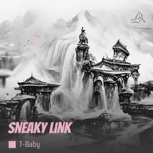 Listen to Sneaky Link (Explicit) song with lyrics from T-BABY