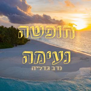 收聽נדב גדליה的חופשה נעימה | freedom (Explicit)歌詞歌曲