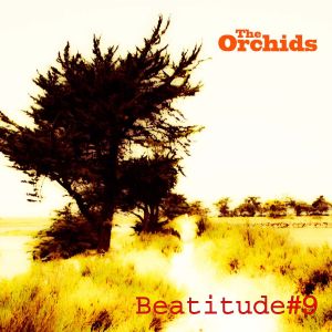 อัลบัม Beatitude #9 ศิลปิน The Orchids