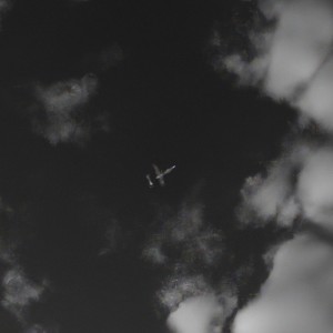 Listen to Ok Ok (Explicit) song with lyrics from Poetics