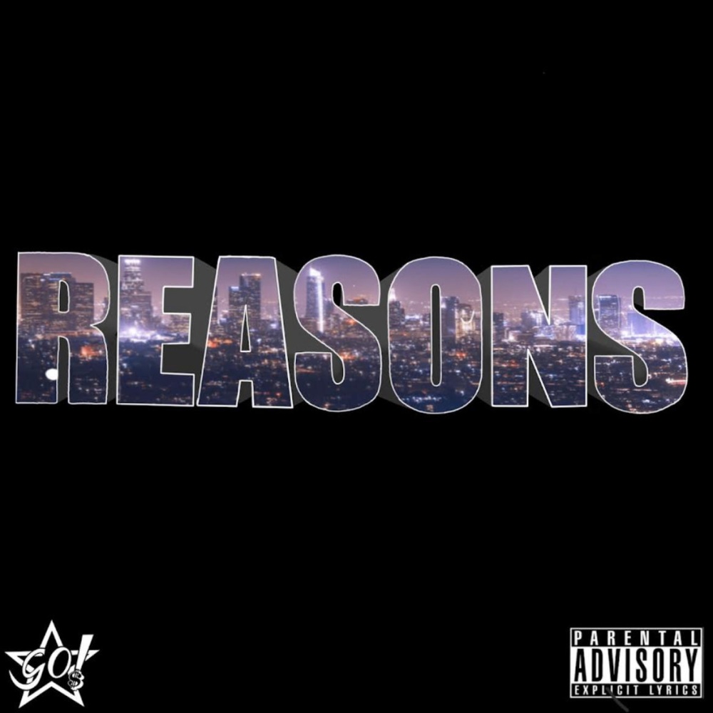 Reasons (Explicit)
