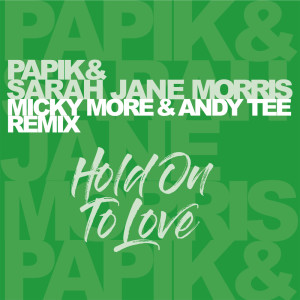 Hold On To Love - Micky More & Andy Tee Remix dari Sarah Jane Morris
