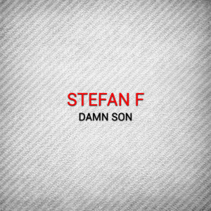 Stefan F的专辑Damn Son