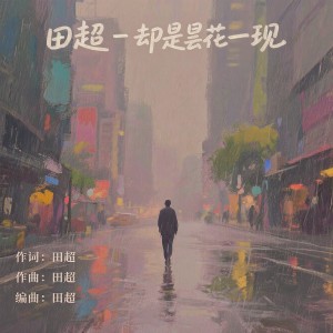 Listen to 却是昙花一现 (伴奏) song with lyrics from 田超