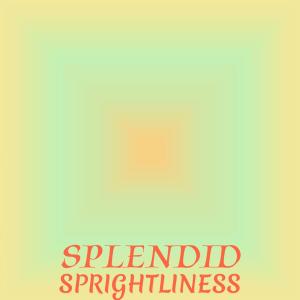 อัลบัม Splendid Sprightliness ศิลปิน Various