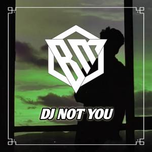 Album DJ Not You Sakera Banyuwagi Style oleh Brantas Music