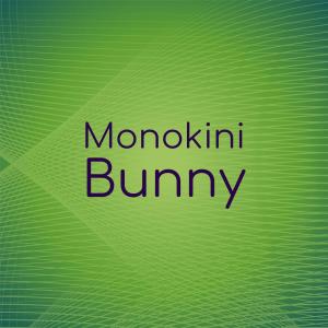 Dengarkan lagu Monokini Bunny nyanyian Zann Sran dengan lirik