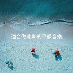 Album 适合做瑜珈的平静音乐 from The Relaxation Providers