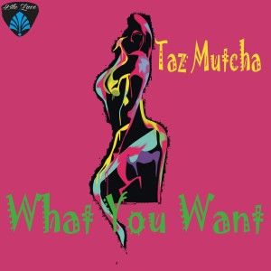 Listen to What You Want (Afro Funk Mix) song with lyrics from Taz Mutcha