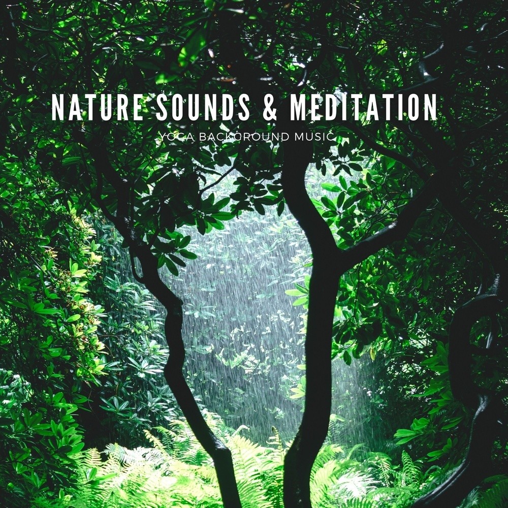 Meditation