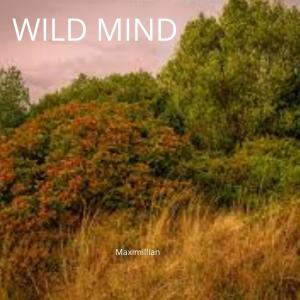 Album Wild Mid (Home Version) oleh Maximillian