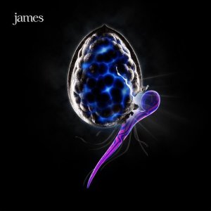 收聽James的Crazy歌詞歌曲