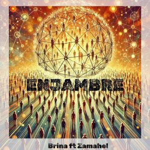 Album Enjambre from Brina
