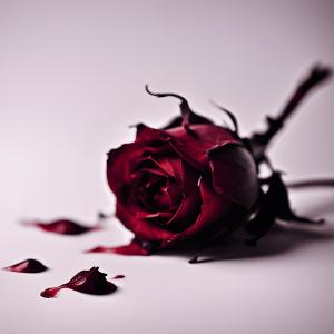 ดาวน์โหลดและฟังเพลง 2007 (feat. SquirlBeats & LOXXANI) (Explicit) พร้อมเนื้อเพลงจาก XENON