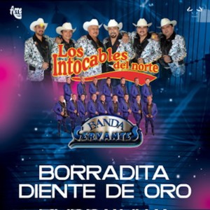 Los Intocables Del Norte的專輯Borradita Diente de Oro