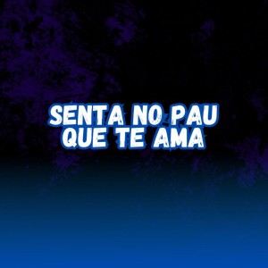 收聽DJ DG O ÚNICO的SENTA NO PAU QUE TE AMA (Explicit)歌詞歌曲