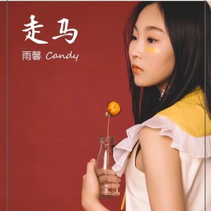 收聽宋雨馨的走馬歌詞歌曲
