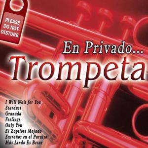 ดาวน์โหลดและฟังเพลง I Will Wait for You พร้อมเนื้อเพลงจาก Orquesta de Trompetas