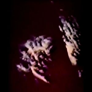 ดาวน์โหลดและฟังเพลง Everclear พร้อมเนื้อเพลงจาก Ludwig Mausberg