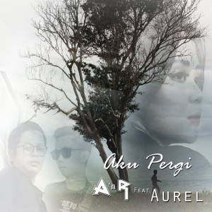 Album Aku Pergi from A n R