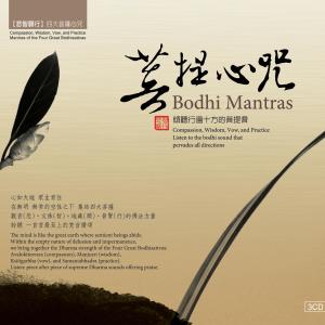 Listen to Shen Xin Ning Jing Ting Chan Yin Sheng Dong (Wen Shu Xin Zhou Qing Kuai Ban) song with lyrics from 蔡介诚