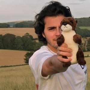 Dengarkan lagu The Most Wonderful Sea Otter nyanyian Dreeks dengan lirik