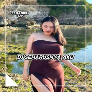 DJ Manikci Team的專輯DJ SEHARUSNYA AKU - COBA KAU INGAT INGAT KEMBALI FUNKOT