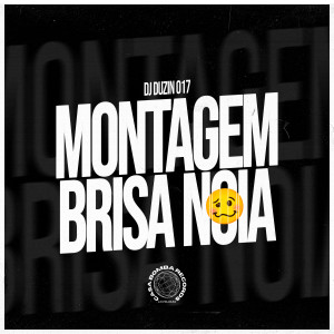 收聽DJ DUZIN 017的Montagem Brisa Noia (Explicit)歌詞歌曲