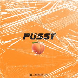 ดาวน์โหลดและฟังเพลง Pussy (Explicit) พร้อมเนื้อเพลงจาก MusicManne