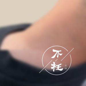 Listen to 不枉 (伴奏) song with lyrics from 苏琛