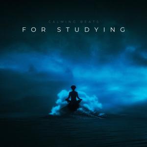 Album Calming Beats For Studying from Various Artists