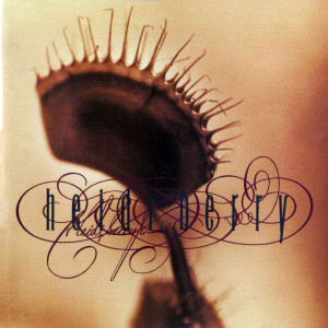 ดาวน์โหลดและฟังเพลง Heart Like a Wheel พร้อมเนื้อเพลงจาก Heidi Berry