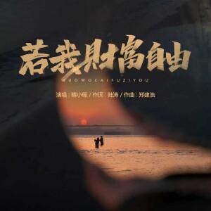 Album 若我财富自由 from 