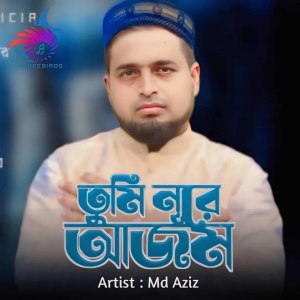 Listen to Tumi Noore Ajom song with lyrics from Md Aziz