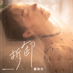 Album 拆卸 oleh 雷雨芯