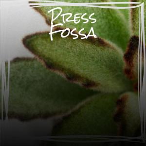 Various的专辑Press Fossa