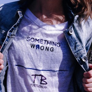 Listen to Something Wrong song with lyrics from Turtlebeat