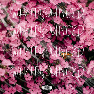 Listen to What You Need (Explicit) song with lyrics from TrinkX