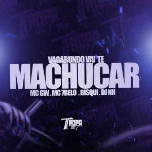 Album Vagabundo vai te machucar (Explicit) from MC 7 Belo