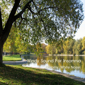 Listen to Windy Sound For Insomnia song with lyrics from J.Roomy