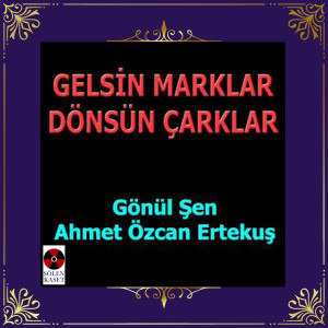 收聽Ahmet Özcan Ertekuş的Tamam Tamam歌詞歌曲