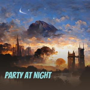 Dj Cindy的专辑Party at Night