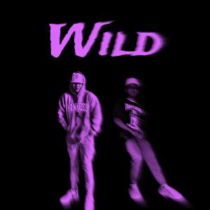 Wild (feat. Nicco) [Explicit]