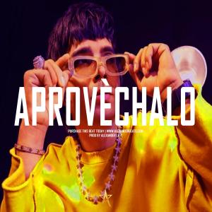 收聽Alexander Beats的Aprovechalo歌詞歌曲