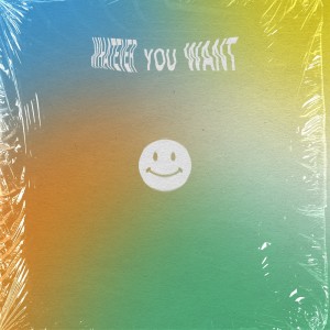 Listen to Whatever You Want song with lyrics from Kaptan